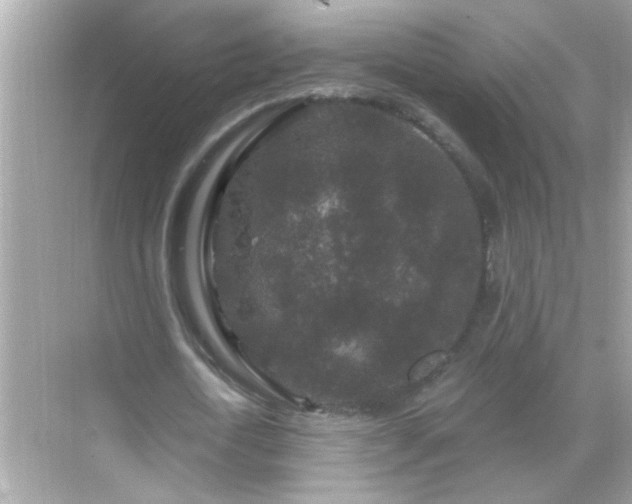 X0000071850722200607072300