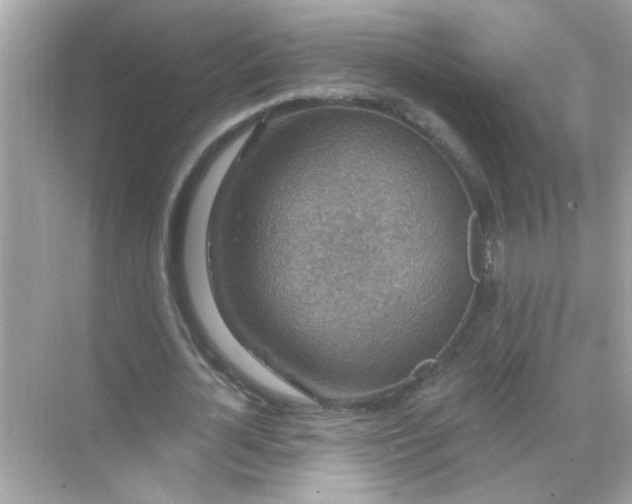 X0000071850724200607072300