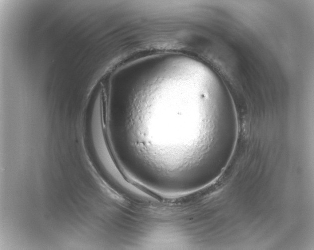 X0000071850725200607072300