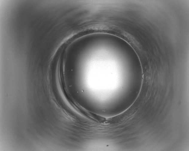 X0000071850727200607072300