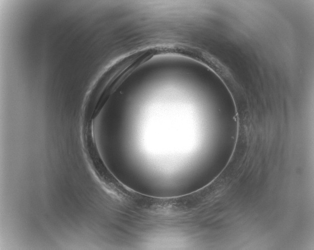 X0000071850728200607072301