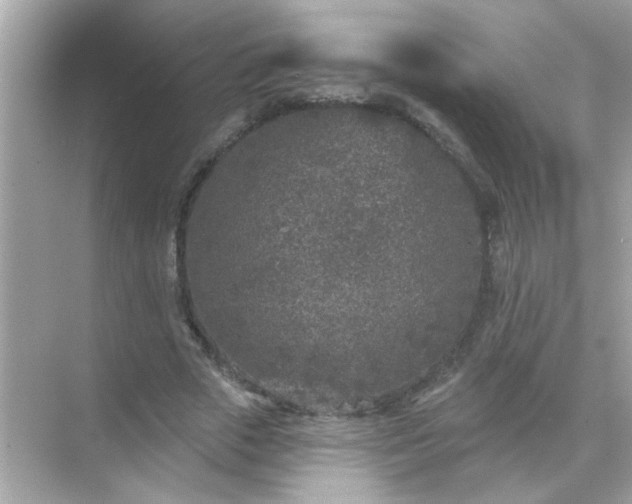 X0000071850729200607072301