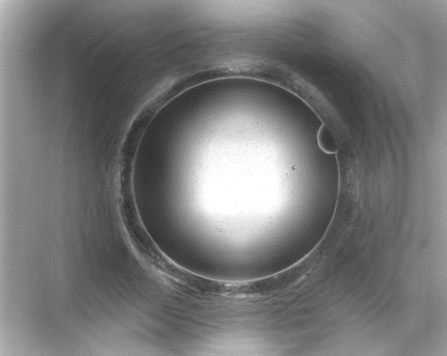 X0000071850730200607072301