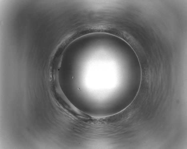 X0000071850731200607072301