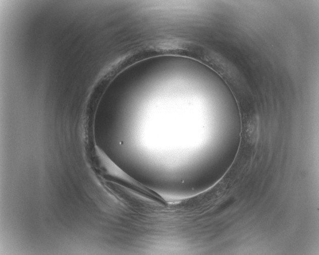 X0000071850732200607072301