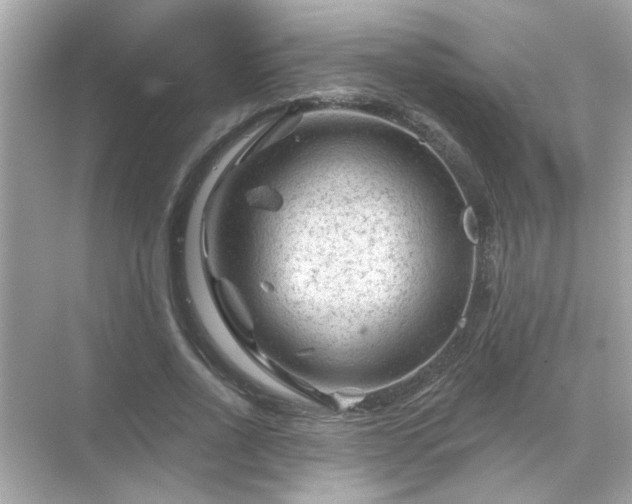 X0000071850734200607072301