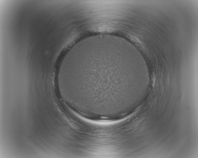 X0000071850735200607072301