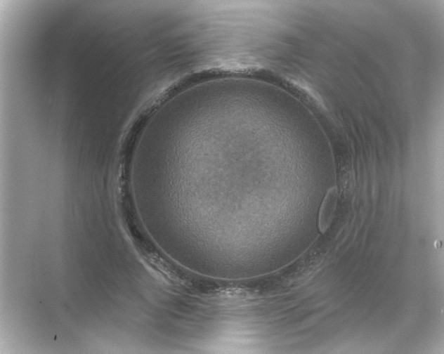 X0000071850736200607072301