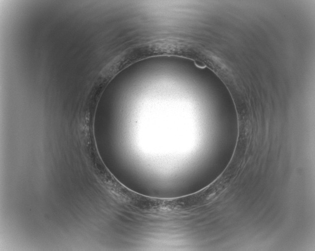 X0000071850737200607072301