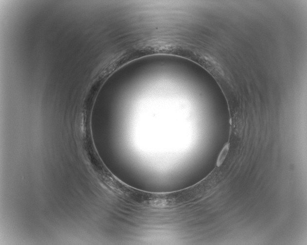 X0000071850740200607072301