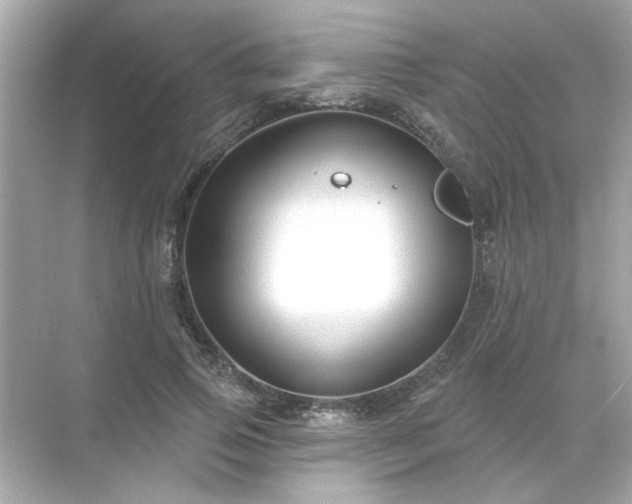 X0000071850741200607072301