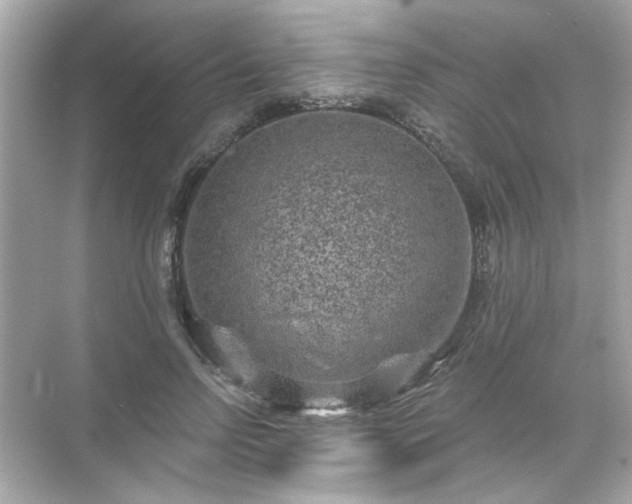 X0000071850742200607072301