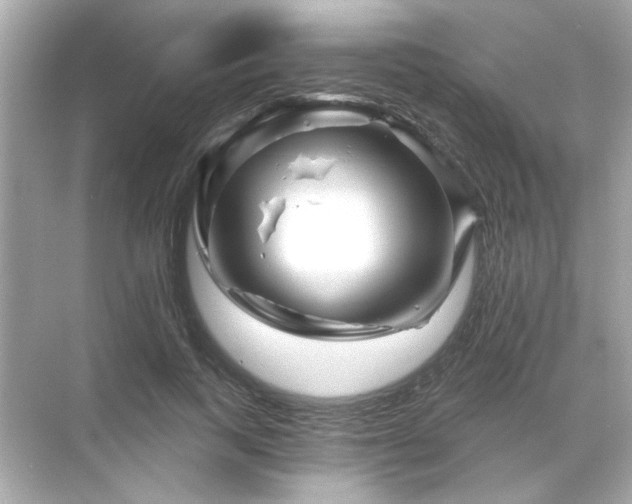 X0000071850743200607072301