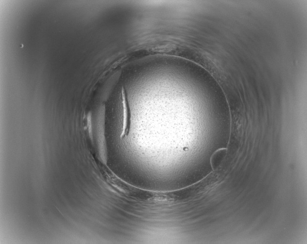 X0000071850745200607072301