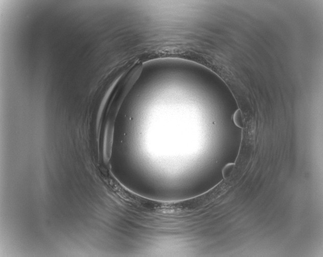 X0000071850746200607072301