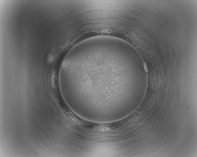 X0000071850747200607072301