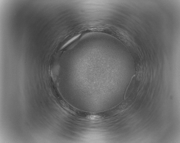 X0000071850748200607072301