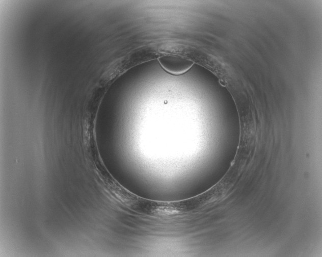 X0000071850749200607072301