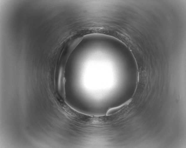 X0000071850750200607072301