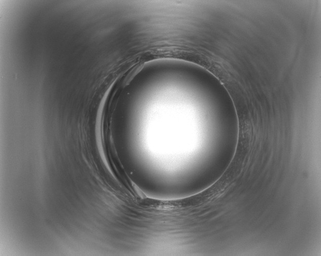 X0000071850751200607072301