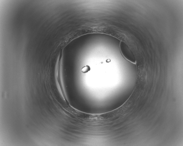 X0000071850752200607072301