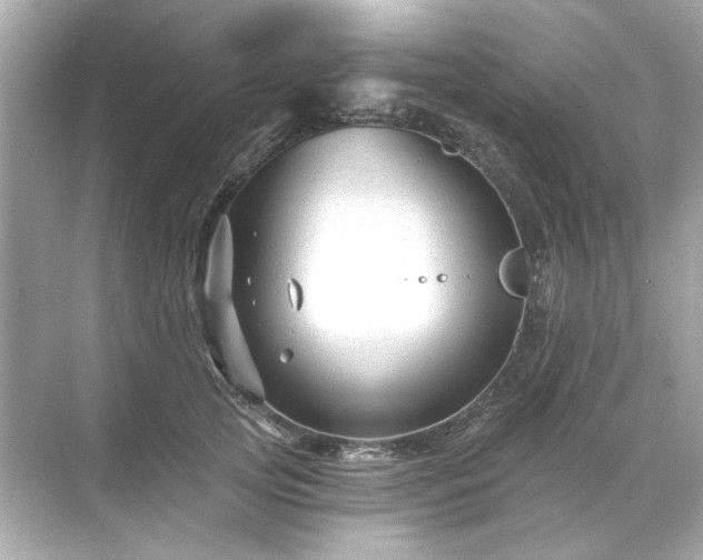 X0000071850753200607072301