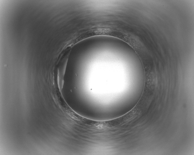 X0000071850755200607072301