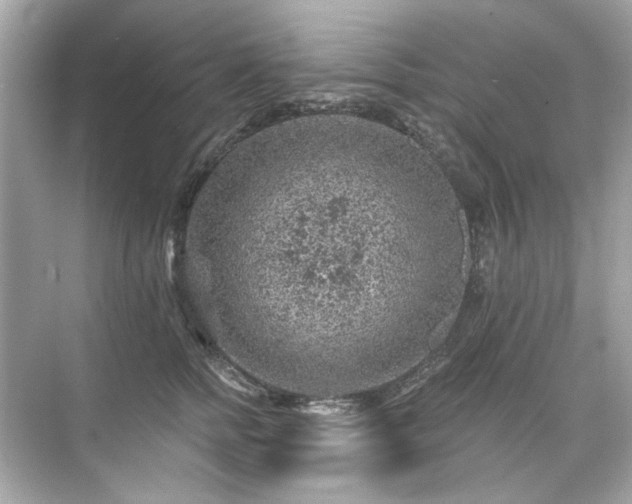 X0000071850758200607072301