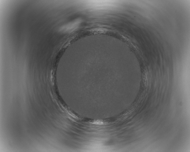 X0000071850759200607072301