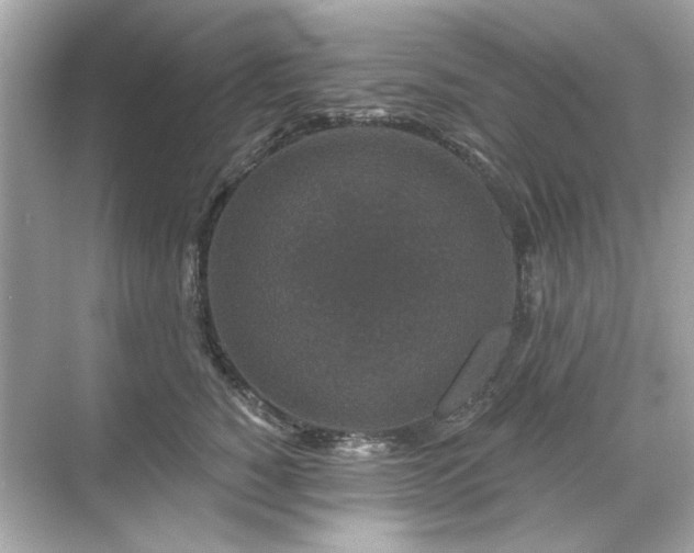 X0000071850760200607072301