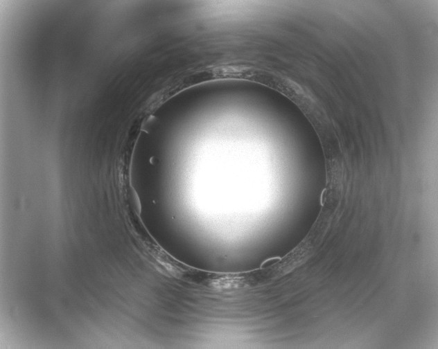 X0000071850761200607072301