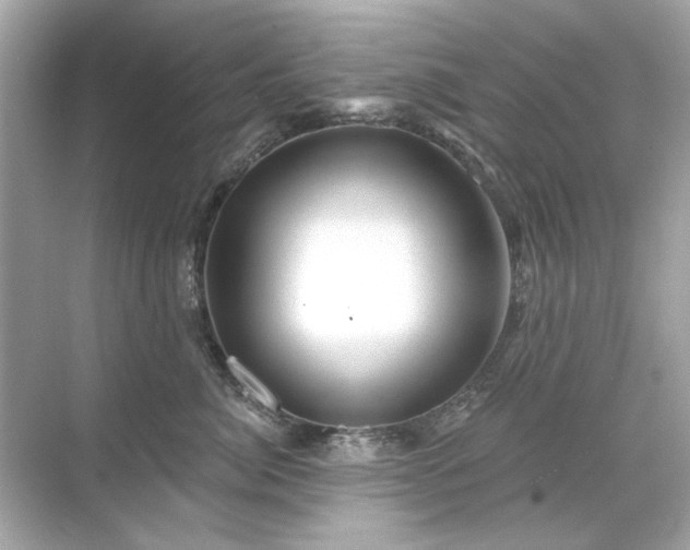 X0000071850764200607072301