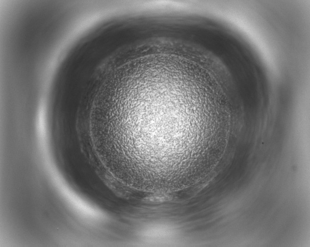 X0000071850765200607072301