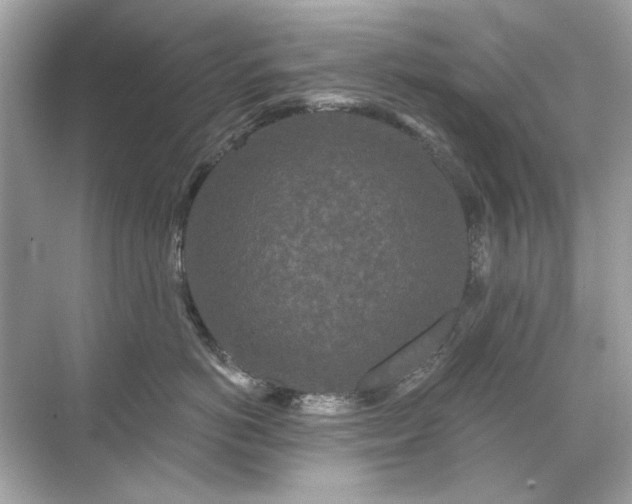 X0000071850766200607072301