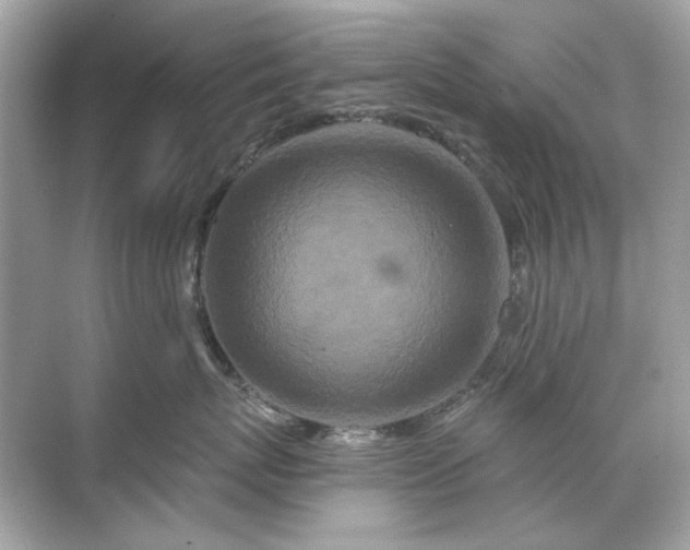 X0000071850767200607072301