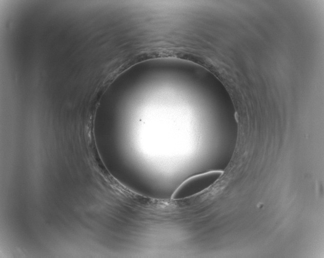 X0000071850768200607072301