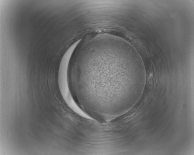 X0000071850772200607072300