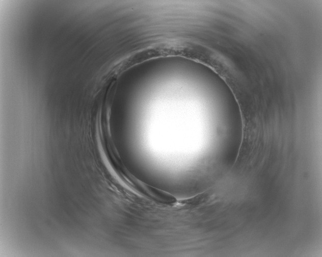 X0000071850773200607072300