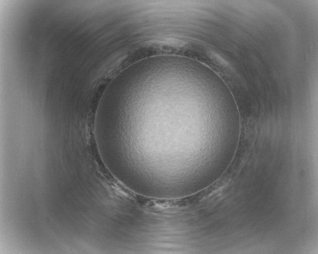 X0000071850774200607072300