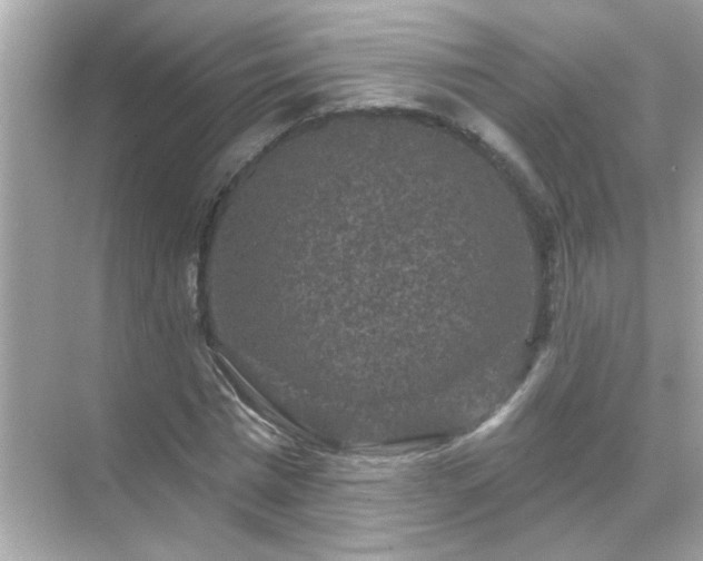 X0000071850777200607072300