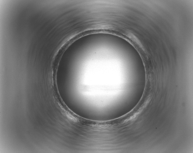 X0000071850781200607072300