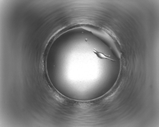 X0000071850782200607072300