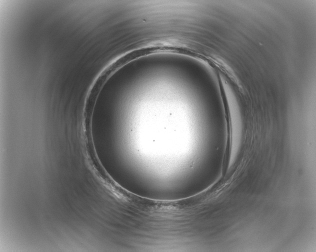 X0000071850784200607072300