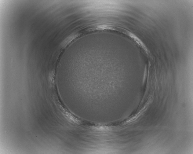 X0000071850785200607072300