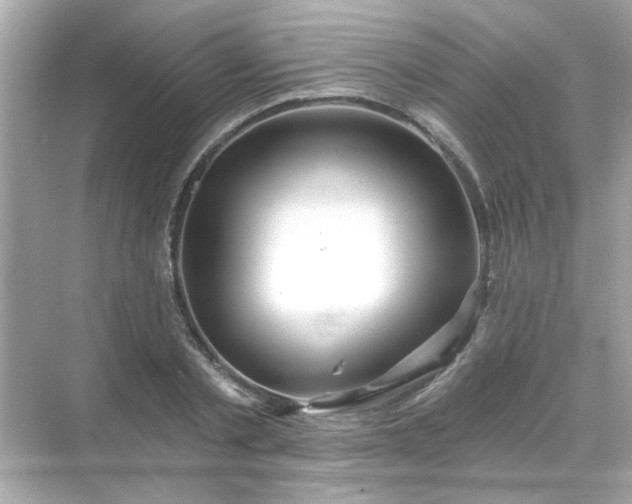 X0000071850789200607072300