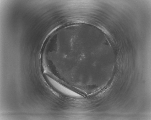 X0000071850790200607072300