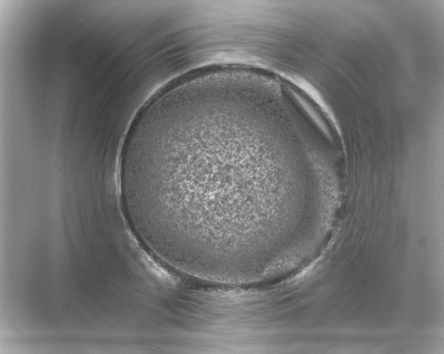 X0000071850791200607072300