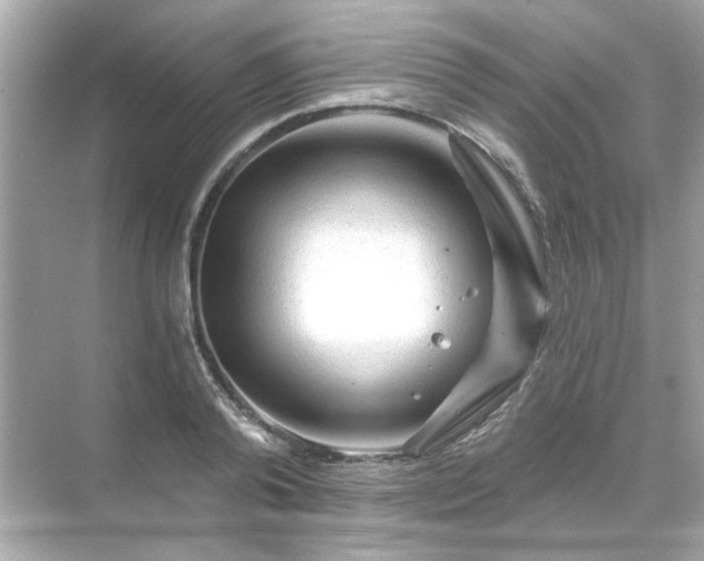 X0000071850792200607072300