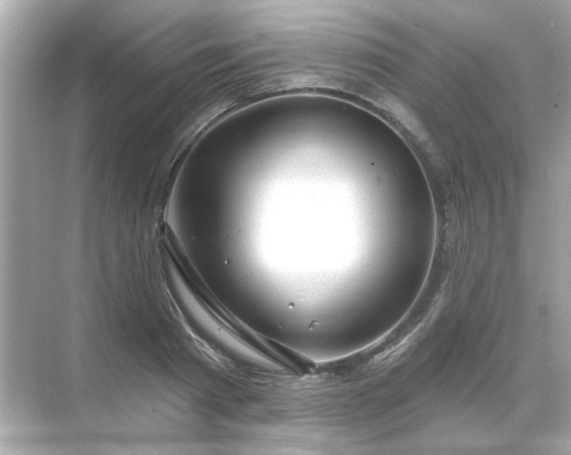 X0000071850793200607072300