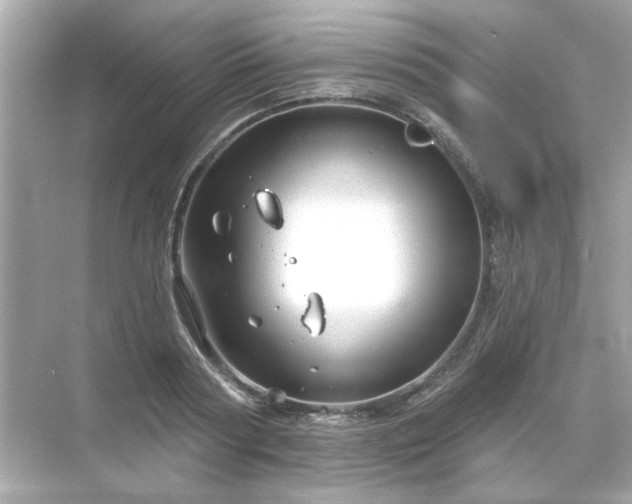 X0000071850794200607072300